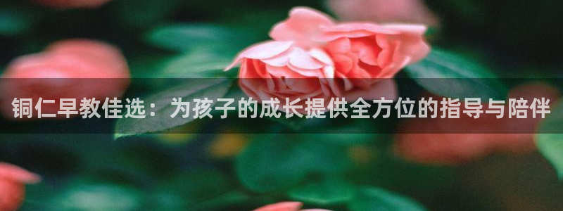 天顺娱乐纲3300：铜仁早教佳选：为孩子的成长提供全方位的指导与陪伴