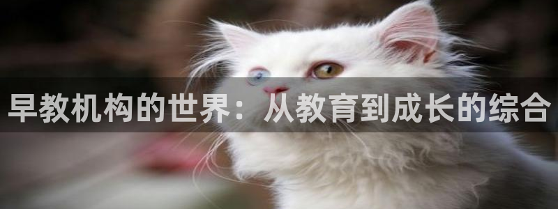 天顺娱乐换78778卧：早教机构的世界：从教育到成长的综合