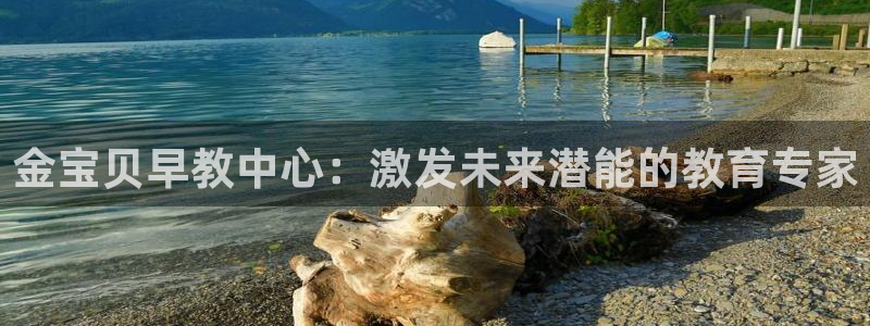 天顺娱乐拙70 48：金宝贝早教中心：激发未来潜能的教育专家