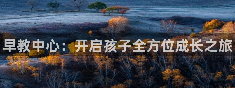 天顺娱乐大连：早教中心：开启孩子全方位成长之旅