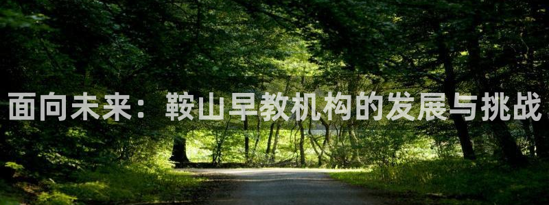 天顺娱乐平台登录测速：面向未来：鞍山早教机构的发展与挑战