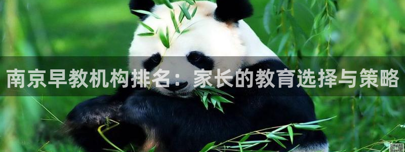 天顺娱乐会所：南京早教机构排名：家长的教育选择与策略