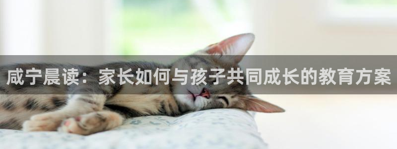 天顺娱乐去33300：咸宁晨读：家长如何与孩子共同成长的教育方案