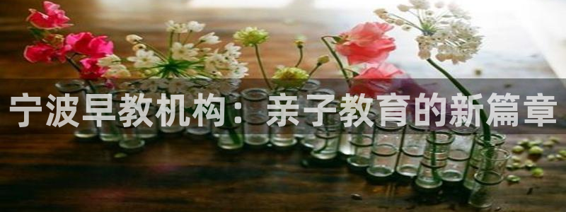 天顺娱乐开户费用：宁波早教机构：亲子教育的新篇章