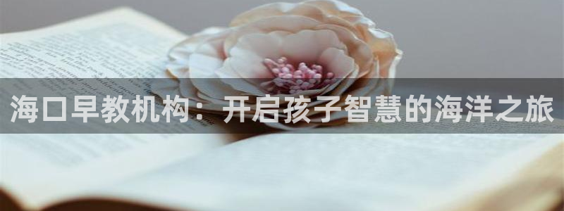 天顺娱乐嘎78778卧：海口早教机构：开启孩子智慧的海洋之旅