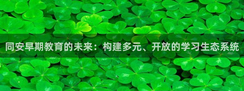 天顺娱乐淤3300：同安早期教育的未来：构建多元、开放的学习生态系统