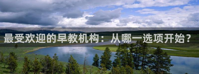 天顺娱乐怎么代理：最受欢迎的早教机构：从哪一选项开始？