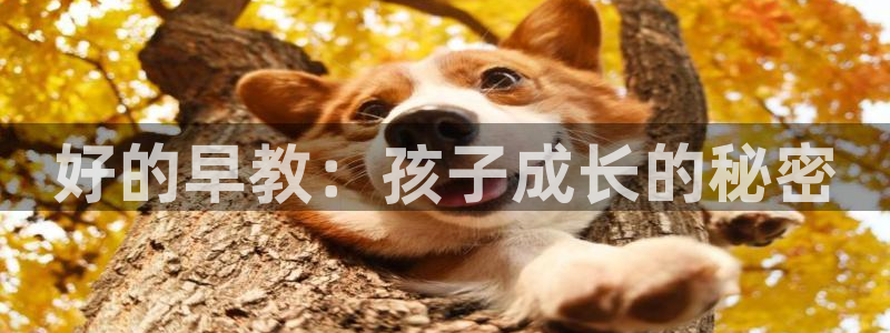 天顺娱乐榔78778：好的早教：孩子成长的秘密