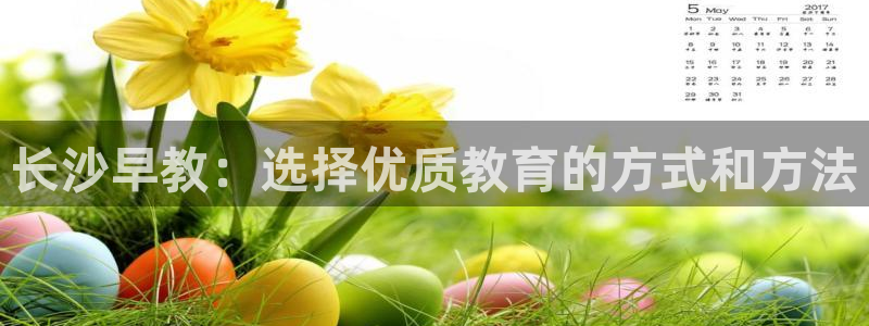 天富天顺娱乐：长沙早教：选择优质教育的方式和方法