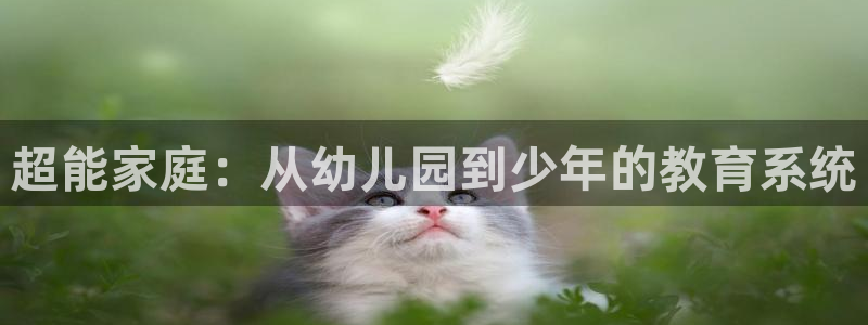 天顺娱乐起点 62562k：超能家庭：从幼儿园到少年的教育系统