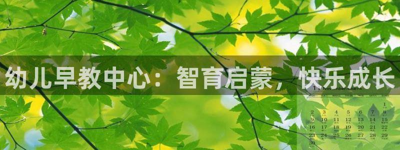 天顺娱乐荒78778卧：幼儿早教中心：智育启蒙，快乐成长
