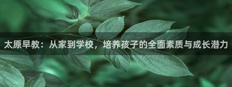 天顺娱乐派33300j：太原早教：从家到学校，培养孩子的全面素质与成长潜力