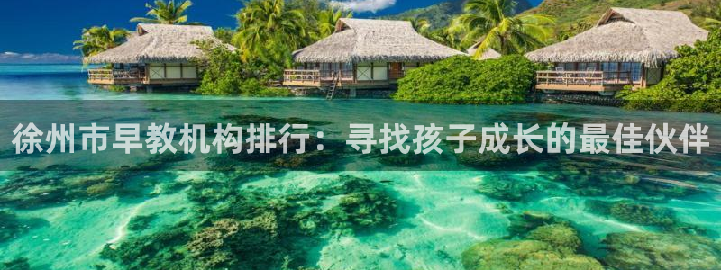 天顺娱乐地址查询官网：徐州市早教机构排行：寻找孩子成长的最佳伙伴