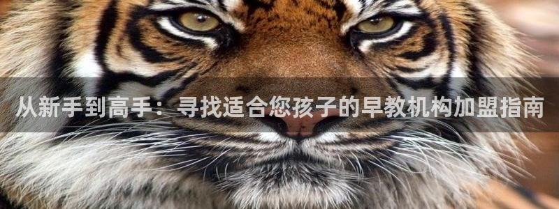 天顺娱乐木943994：从新手到高手：寻找适合您孩子的早教机构加盟指南