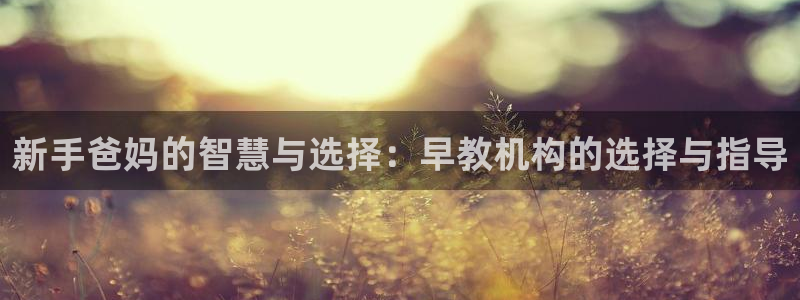 天顺娱乐梧怎秦奋83334j：新手爸妈的智慧与选择：早教机构的选择与指导