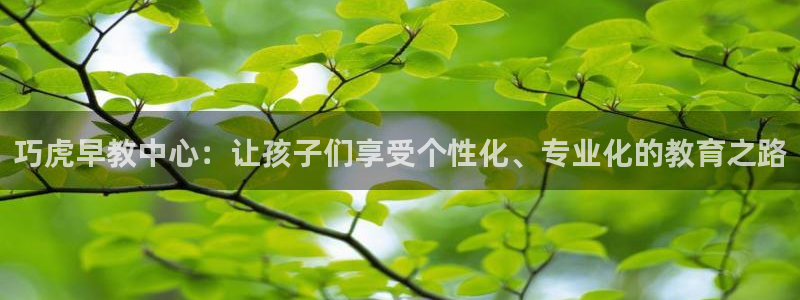 天顺娱乐负责人赤廉pg29999：巧虎早教中心：让孩子们享受个性化、专业化的教育