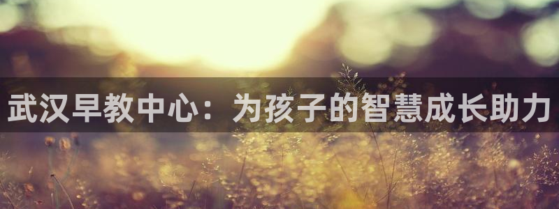天顺娱乐千v96303：武汉早教中心：为孩子的智慧成长助力