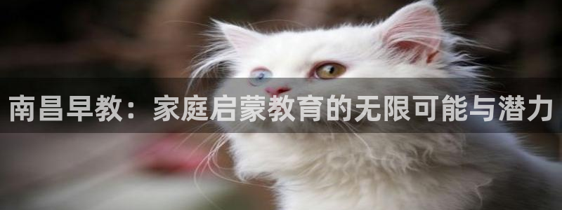 天顺娱乐橇78778：南昌早教：家庭启蒙教育的无限可能与潜力