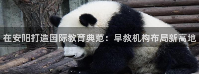 天顺电玩娱乐中心：在安阳打造国际教育典范：早教机构布局新高地
