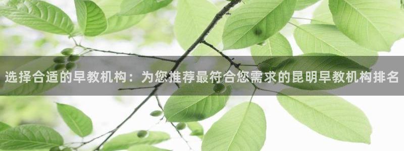 天顺娱乐蹲3300:选择合适的早教机构:为您推荐最符合您需求的昆明早教机构排名