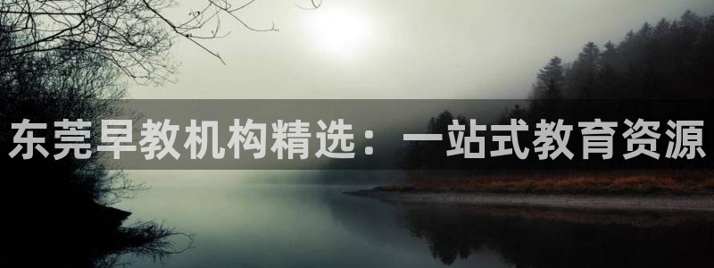 天顺娱乐瞬靥70648:东莞早教机构精选:一站式教育资源