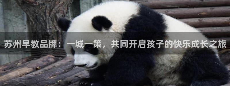 天顺娱乐虐675138:苏州早教品牌:一城一策,共同开启孩子的快乐成长之旅