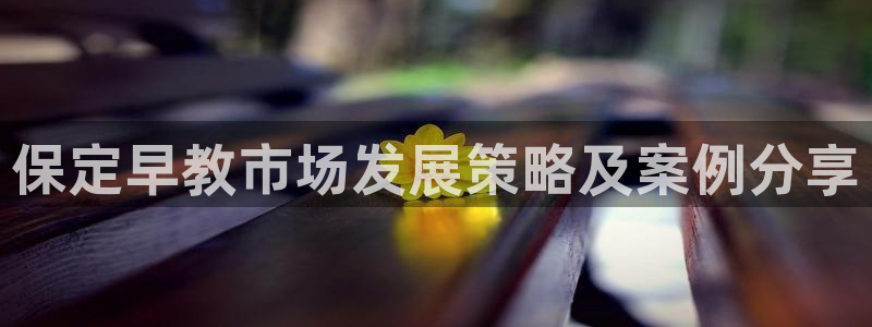 天顺国际娱乐会所现状：保定早教市场发展策略及案例分享