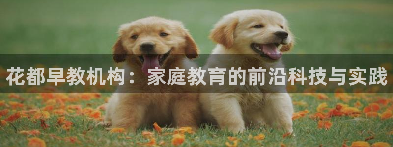 天顺娱乐登录:花都早教机构:家庭教育的前沿科技与实践