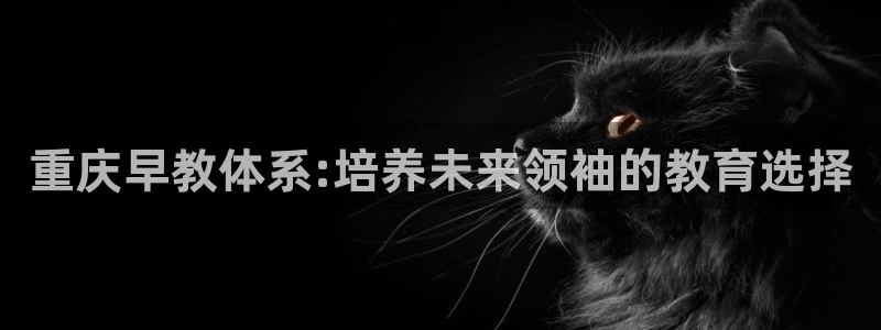 天顺休闲娱乐中心怎么样：重庆早教体系:培养未来领袖的教育选择