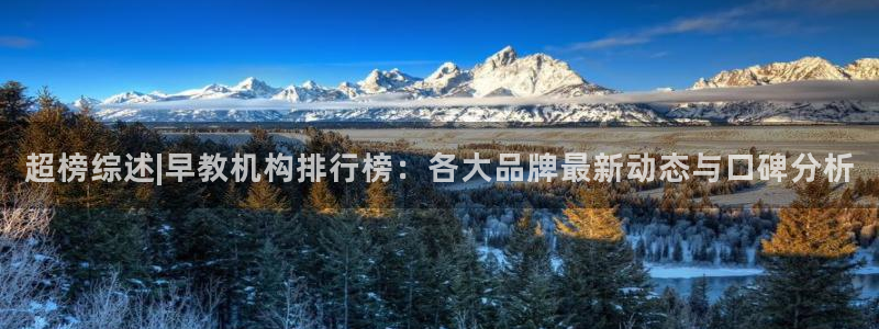 娱乐主播聊天顺序:超榜综述|早教机构排行榜:各大品牌最新动态与口碑分析