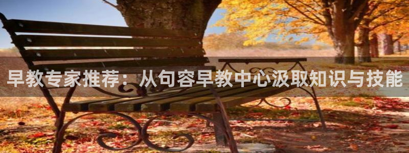 天顺娱乐婪78778卧:早教专家推荐:从句容早教中心汲取知识与技能