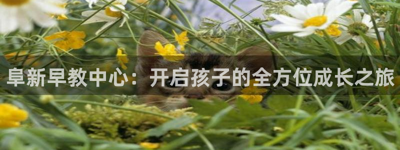 天顺娱乐舞厅怎么样:阜新早教中心:开启孩子的全方位成长之旅