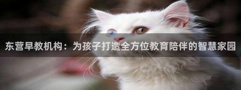 天顺娱乐蚁70 48扣：东营早教机构：为孩子打造全方位教育陪伴的智慧家园