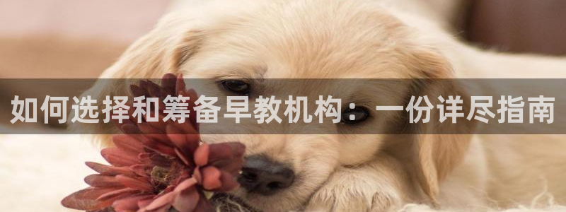 天顺娱乐备3300:如何选择和筹备早教机构:一份详尽指南