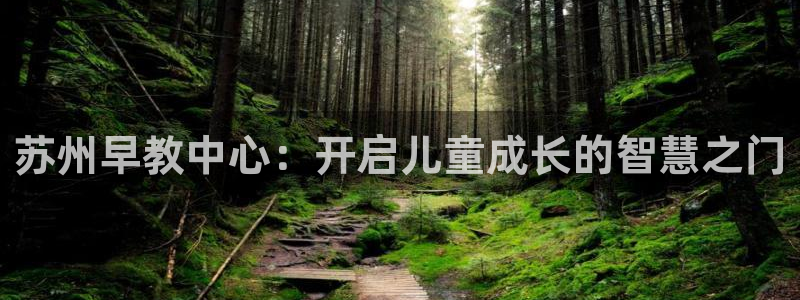 天顺娱乐备3300：苏州早教中心：开启儿童成长的智慧之门