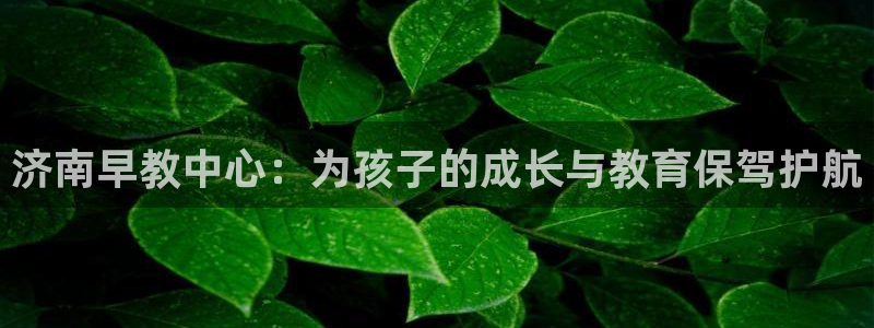 天顺娱乐千v96303：济南早教中心：为孩子的成长与教育保驾护航