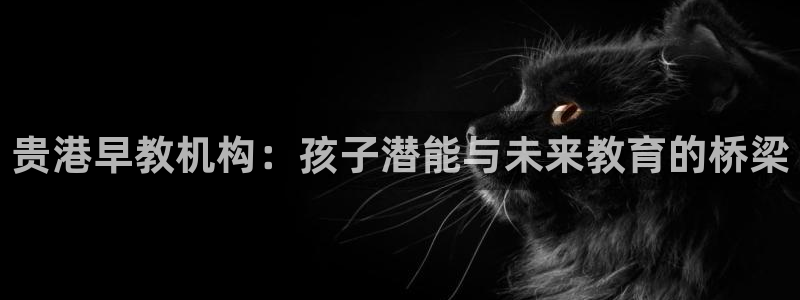 天顺娱乐主管过：贵港早教机构：孩子潜能与未来教育的桥梁