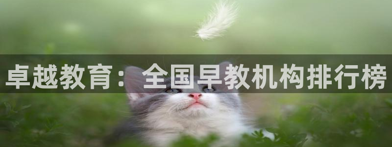 天顺娱乐附943994：卓越教育：全国早教机构排行榜