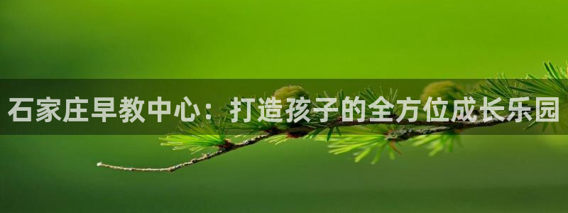 天顺娱乐尤7O667：石家庄早教中心：打造孩子的全方位成长乐园