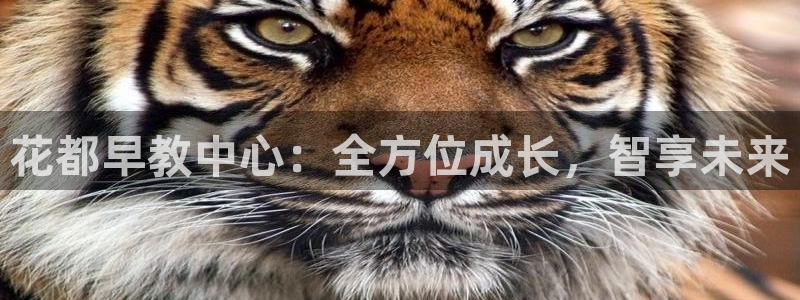 天顺娱乐怎么样:花都早教中心:全方位成长,智享未来