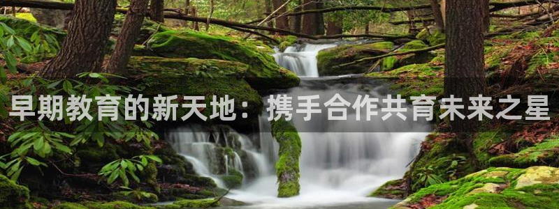 天顺娱乐舞厅怎么样：早期教育的新天地：携手合作共育未来之星