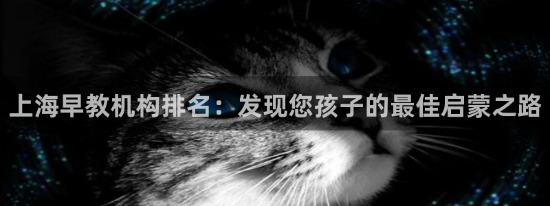 天顺娱乐龙灵p官29999:上海早教机构排名:发现您孩子的最佳启蒙之路