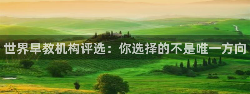 天顺娱乐关70648：世界早教机构评选：你选择的不是唯一方向