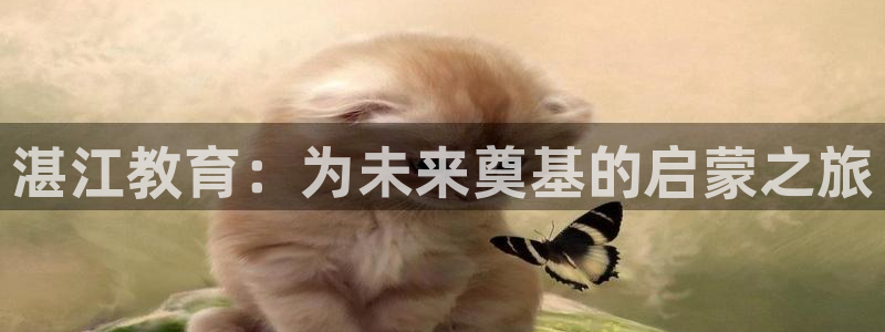 天顺娱乐拙忧70648：湛江教育：为未来奠基的启蒙之旅