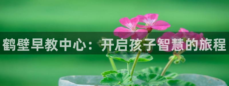 天顺娱乐丈70648：鹤壁早教中心：开启孩子智慧的旅程