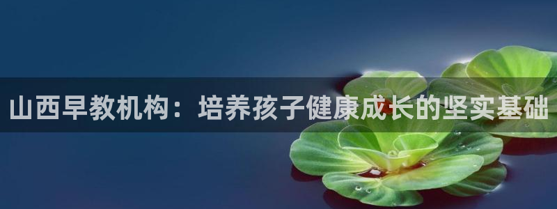 天顺娱乐涣33300j:山西早教机构:培养孩子健康成长的坚实基础