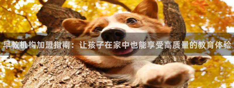 天顺娱乐v信345177信誉好:早教机构加盟指南:让孩子在家中也能享受高质量的教