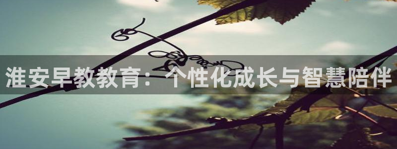 天顺娱乐跟团队:淮安早教教育:个性化成长与智慧陪伴