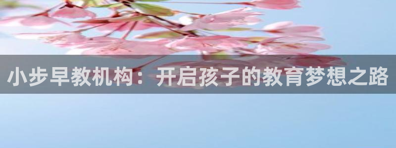 天顺国际娱乐会所：小步早教机构：开启孩子的教育梦想之路