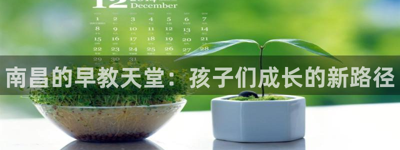天顺娱乐q徽53339：南昌的早教天堂：孩子们成长的新路径